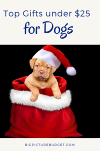 Need Christmas gift ideas for a dog and don't want to break your budget? Look no further. #giftguide #Christmasgifts #bigpicturebudget