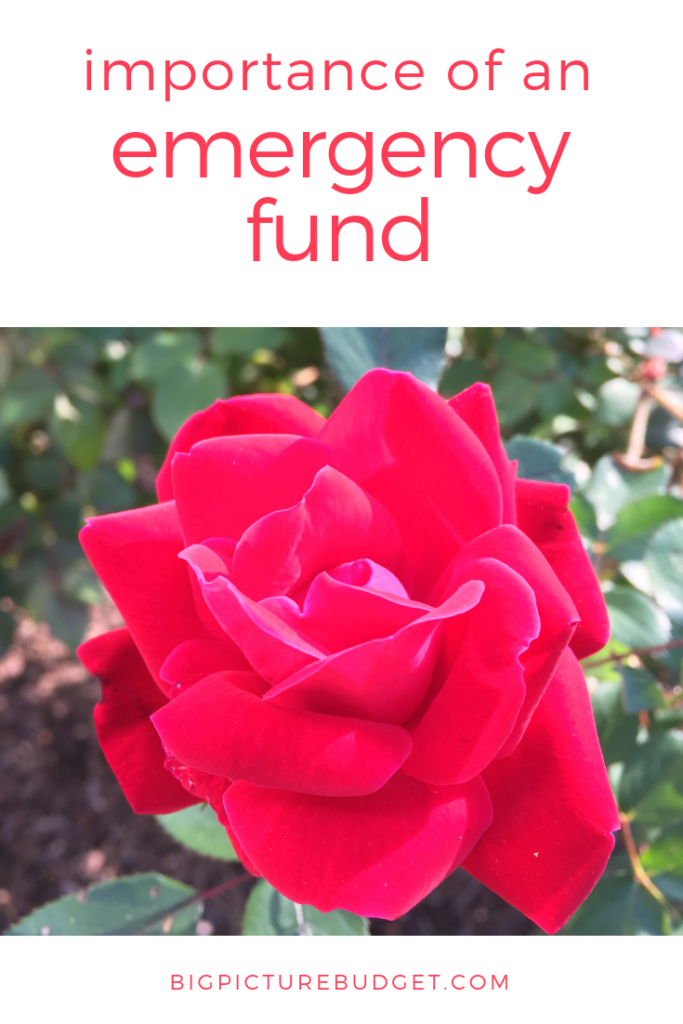 Red Rose