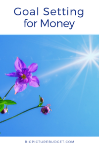blue sky with sun and purple flower